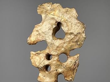 Amazon.co.jp: 「流玉」中国美術 太湖石 玲瓏石 天然石 奇石 水石 鑑賞